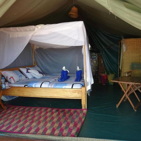 Crocodile Camp-Masai Mara Hotel Talek Екстериор снимка