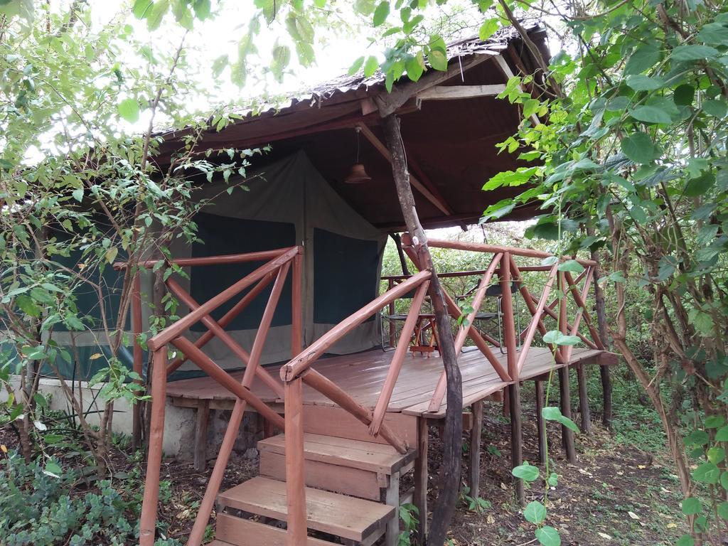 Crocodile Camp-Masai Mara Hotel Talek Екстериор снимка